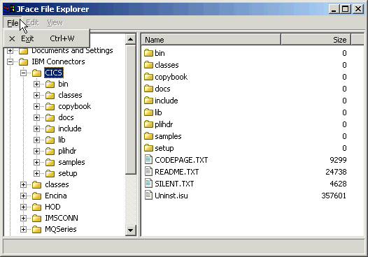 Figure 3. Explorer (version 10)